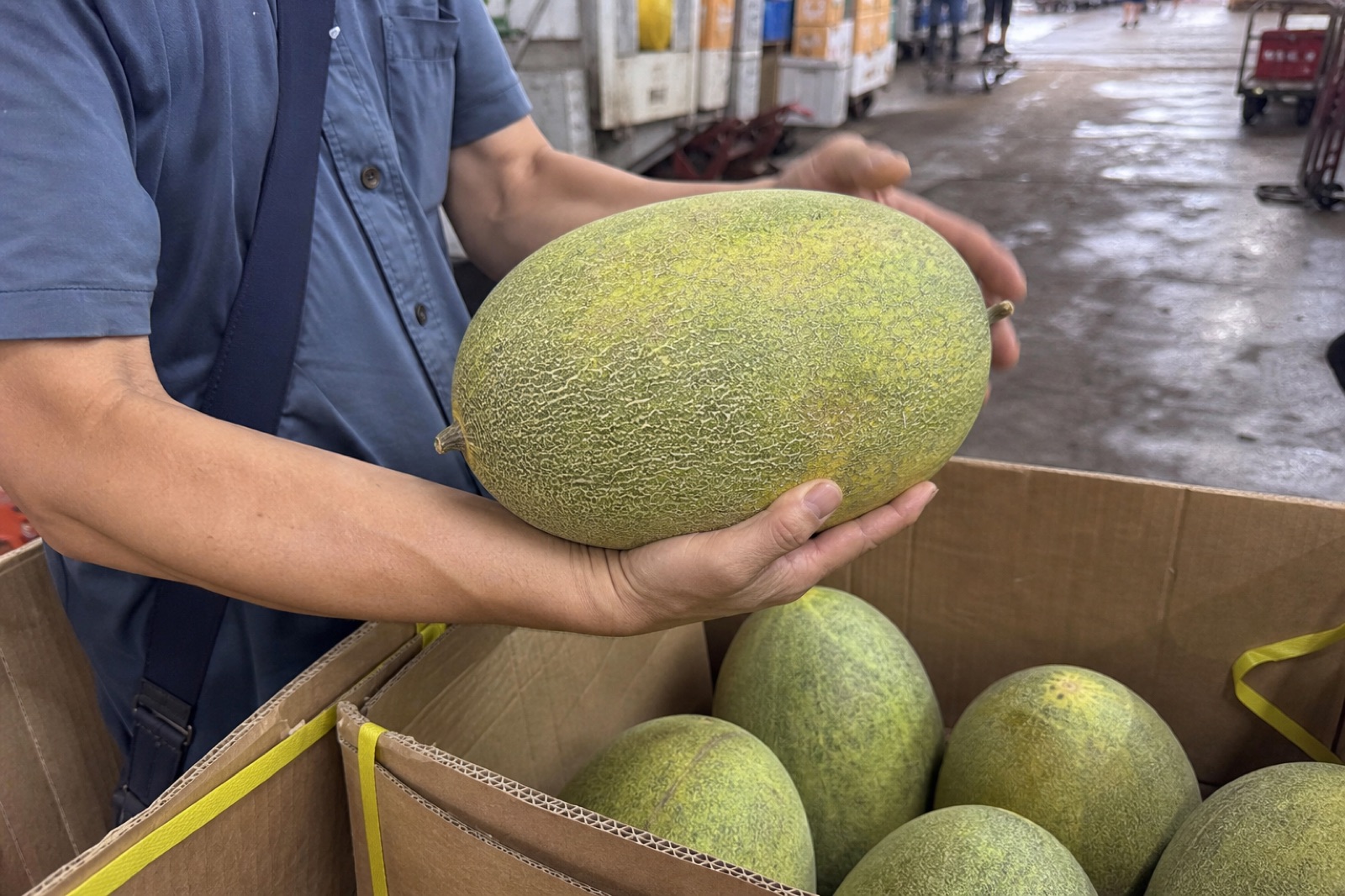 市場買家檢查西州蜜25號