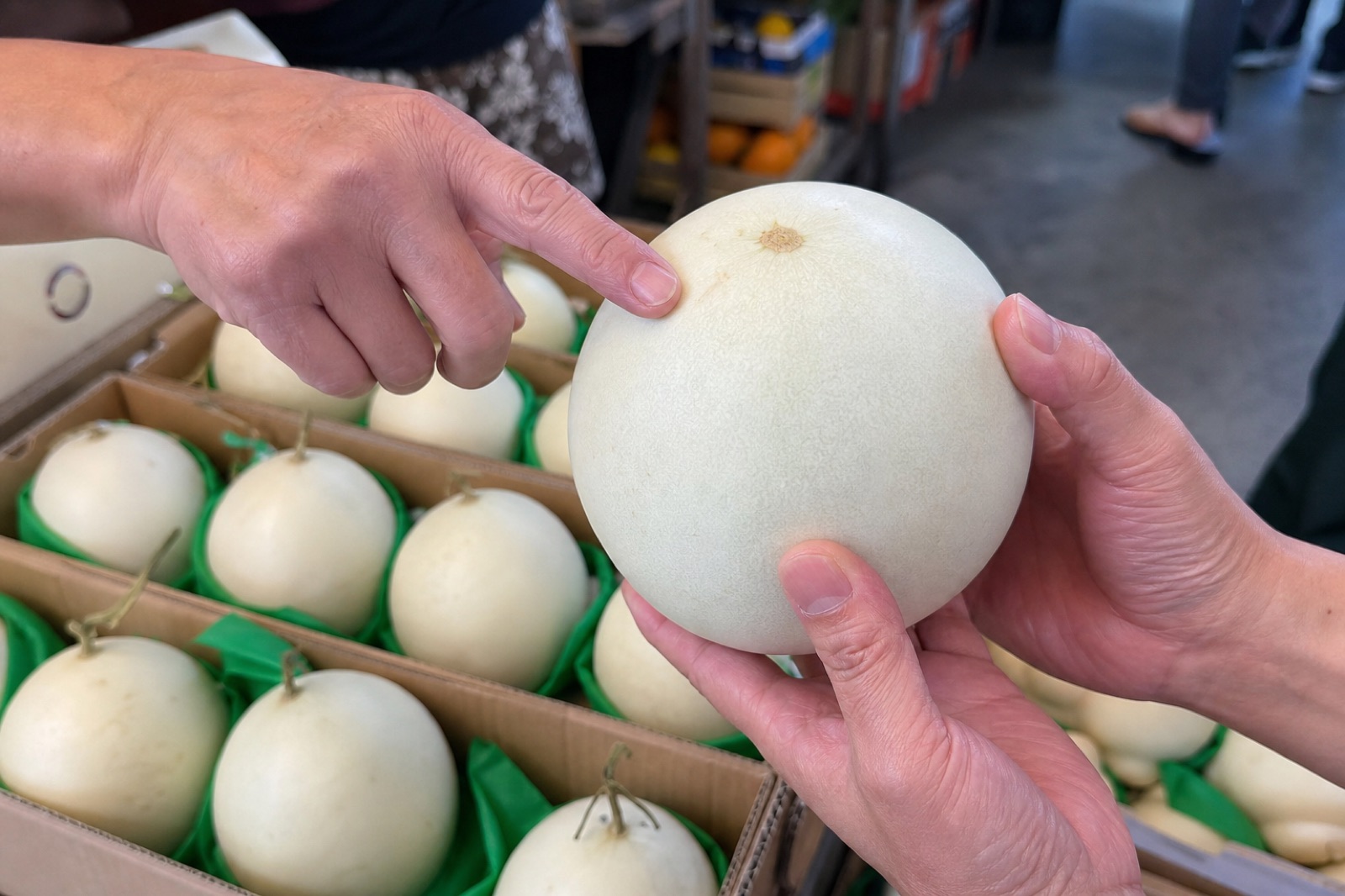 果店買家檢查乳白色光皮玉菇甜瓜