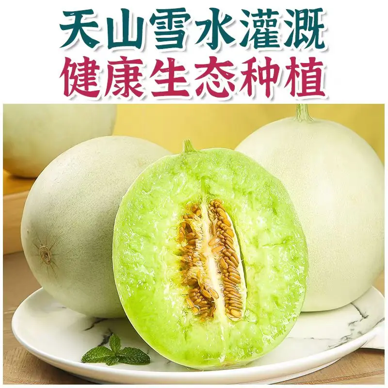 天山密王新疆哈密瓜剖面實拍：翠綠果肉多汁，文案強調天山雪水灌溉與健康生態種植。