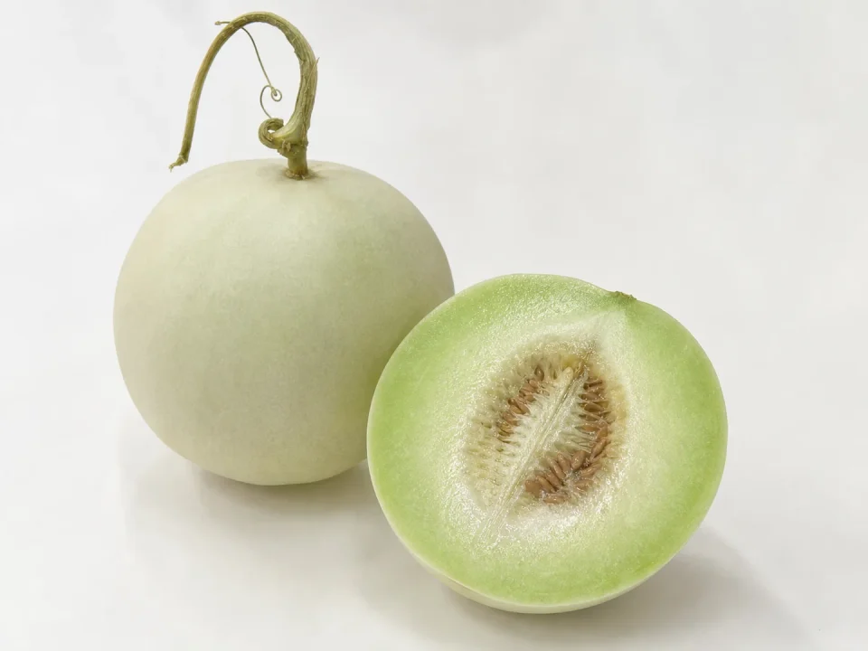玉菇甜瓜乳白光皮整果與青肉切面